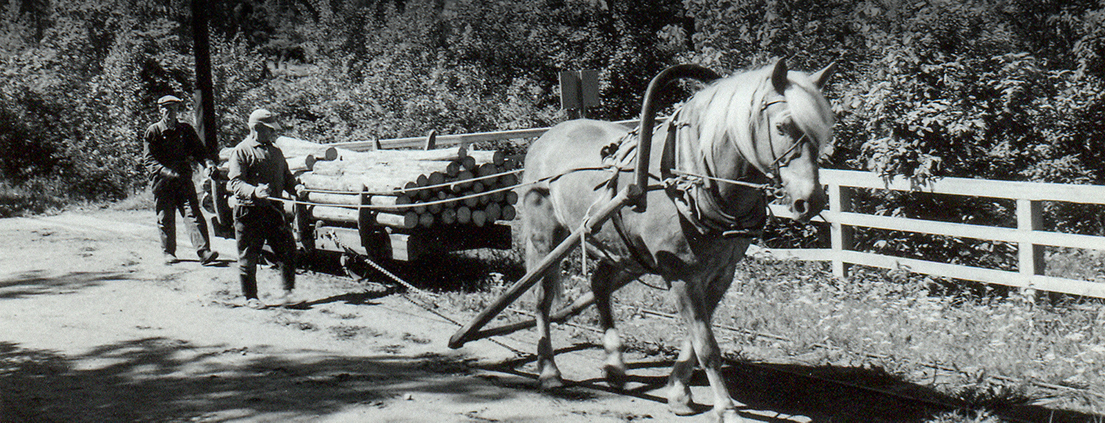Suomen hevonen ja Verlan tukkirata